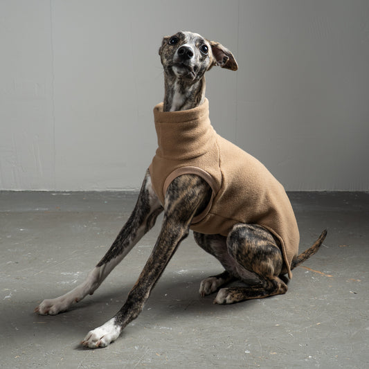 Fleece Shirt Windhund Camel – ergonomischer Schnitt für Dackel und Windhunde – handgefertigte Hundekleidung