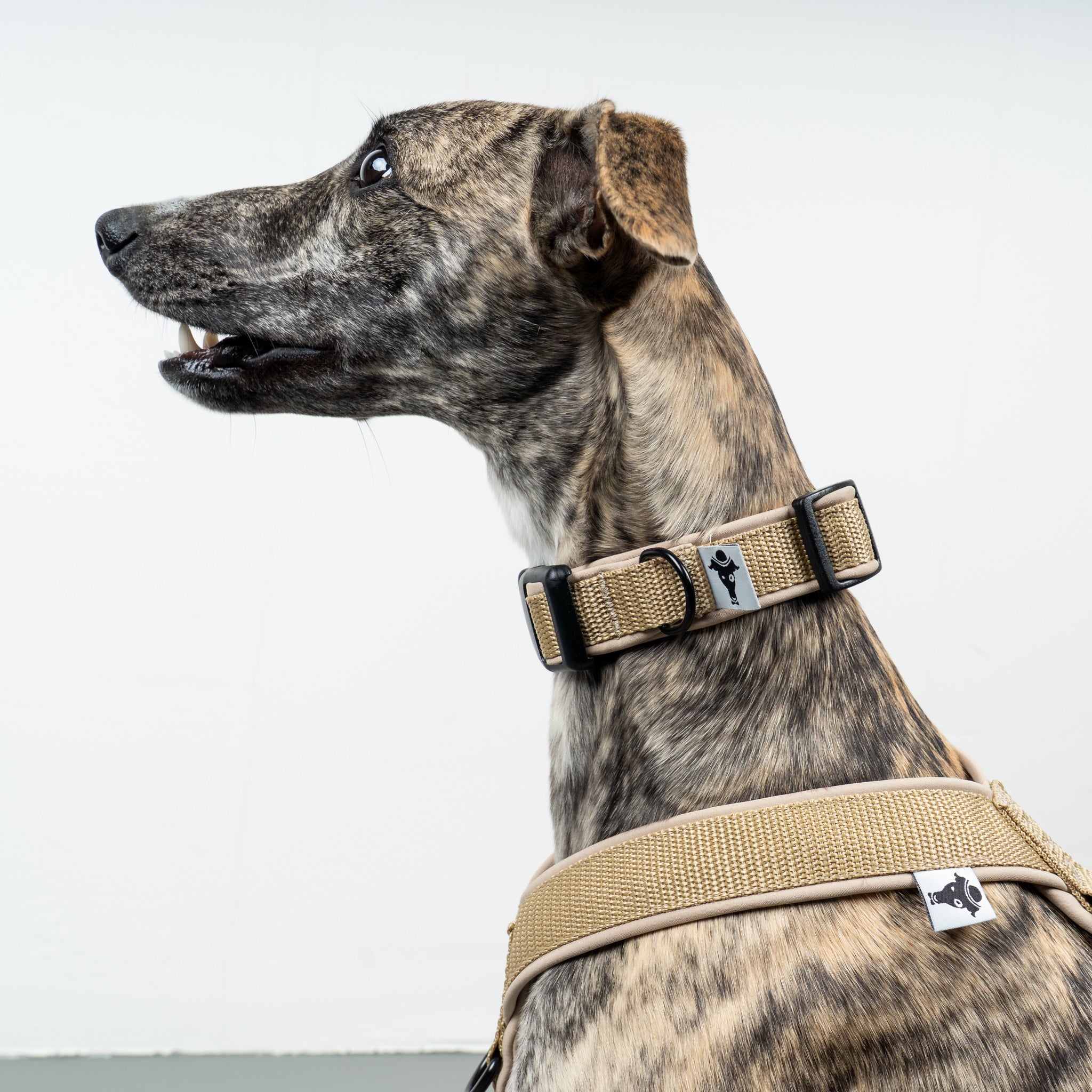 Softshell Halsband Sand