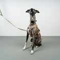 Load image into Gallery viewer, Crossbody Leine Sand
