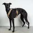 Load image into Gallery viewer, SOFTSHELL DOGHARNESS Sighthound Sand
