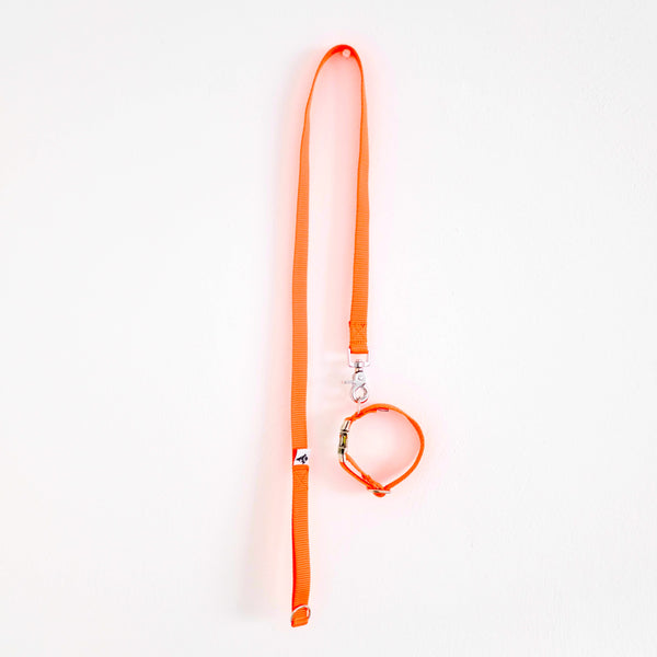 HUNDELEINE HALSBAND SET aus Gurtband in Neon Orange