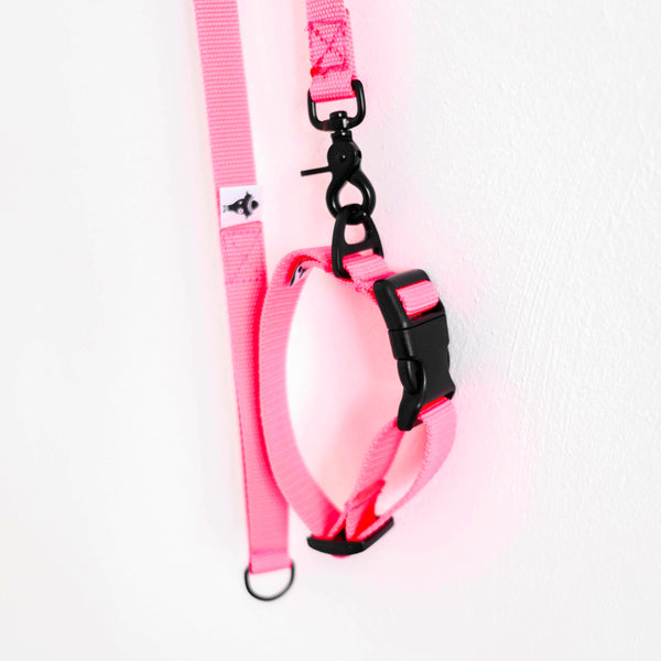 HUNDELEINE HALSBAND SET aus Gurtband in Neon Pink