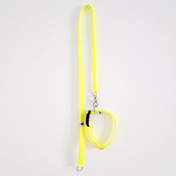 HUNDELEINE HALSBAND SET aus Gurtband in Neon Yellow