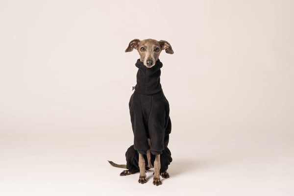 Italienisches Windspiel sitzt in ergonomischen Overall für Italienische Windspiele aus Polar Fleece von Karma Hund