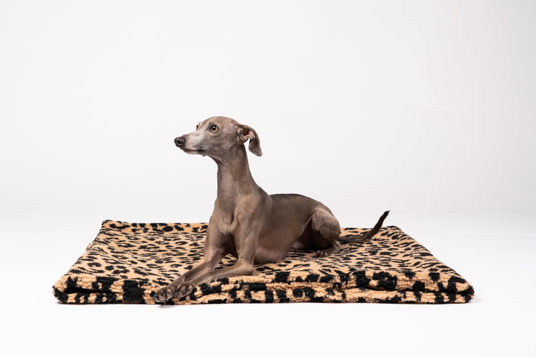 Handgemachter Hundeschlafsack aus Berlin – weich & gemütlich