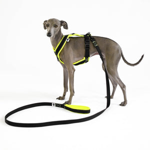 Harness city leash bundle neon yellow