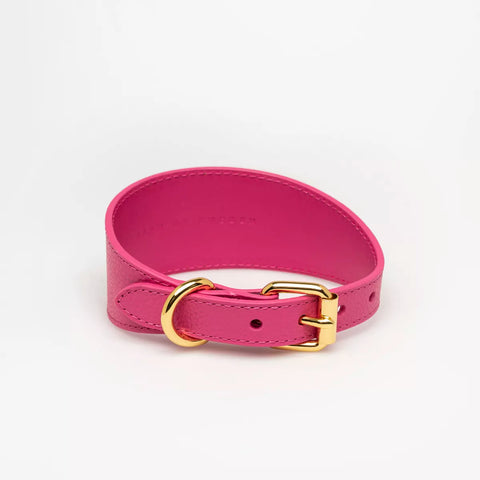 Hot Pink Collar greyhound collar