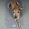 Load image into Gallery viewer, Platzdecke Grey
