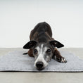 Load image into Gallery viewer, Platzdecke Grey
