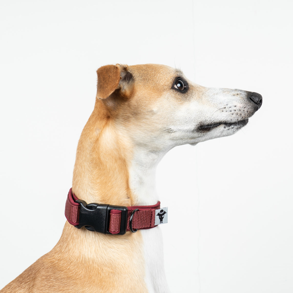 Softshell Halsband Weinrot