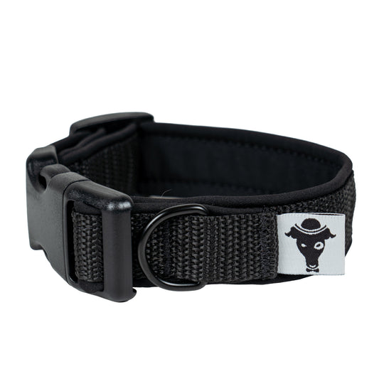 Softshell Halsband Schwarz
