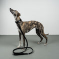 Load image into Gallery viewer, Softshell Halsband Schwarz
