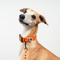 Load image into Gallery viewer, Softshell Halsband Neon Orange
