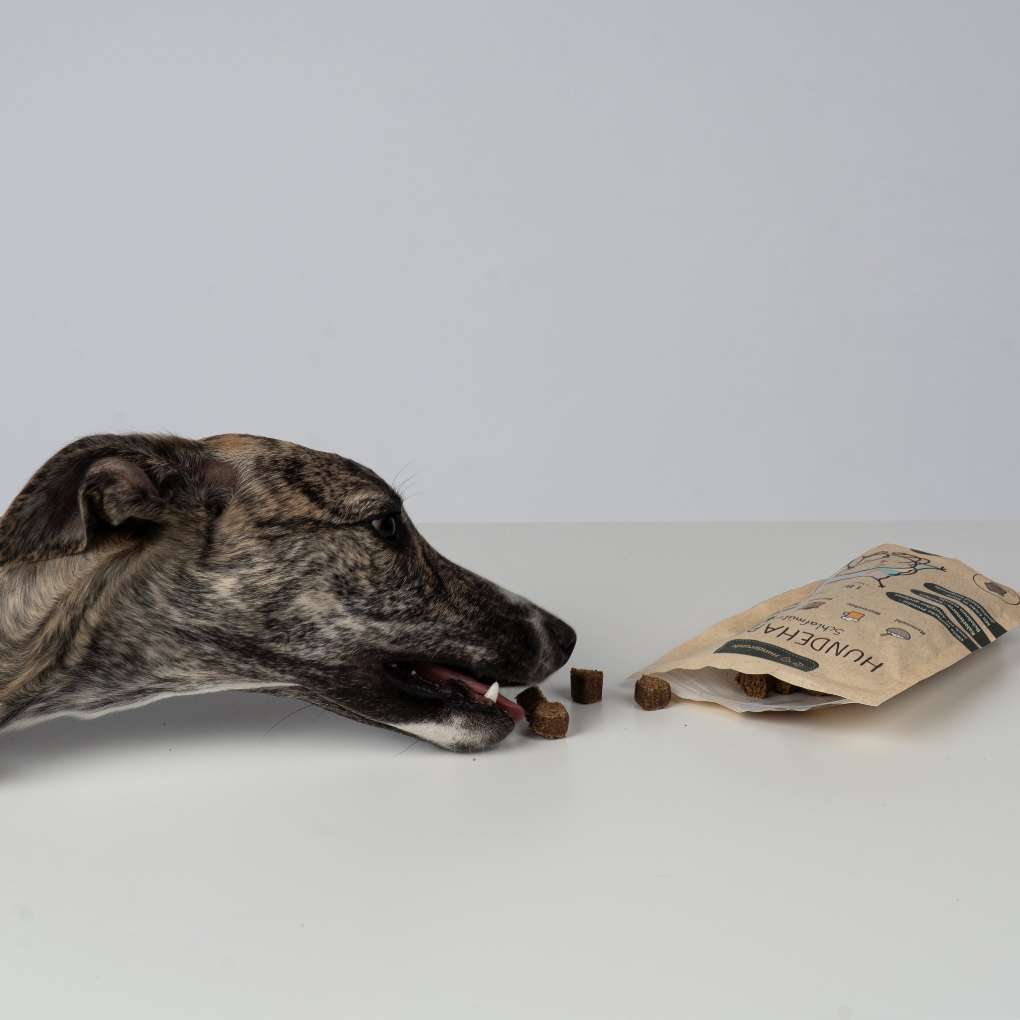 Hunderunde's Vegane Hundehappen – Schlafmütze
