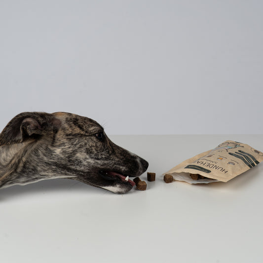 Hunderunde's Vegane Hundehappen – Schlafmütze