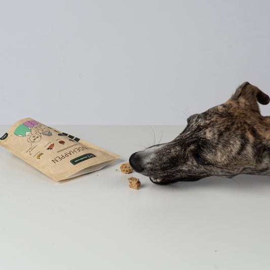 Hunderunde's Vegane Hundehappen – Seniorenschmaus