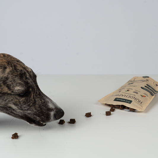 Hunderunde's Vegane Hundehappen – Sportskanone