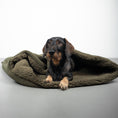 Load image into Gallery viewer, Teddy Hundeschlafsack Olivgrün
