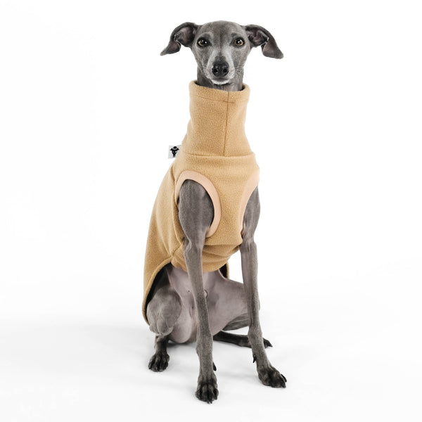 Windspiel Shirt Camel