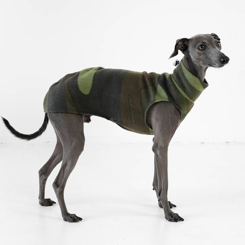 Italian Greyhound Jumper
