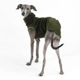 Load image into Gallery viewer, Iggy Shirt Fleece Olive
