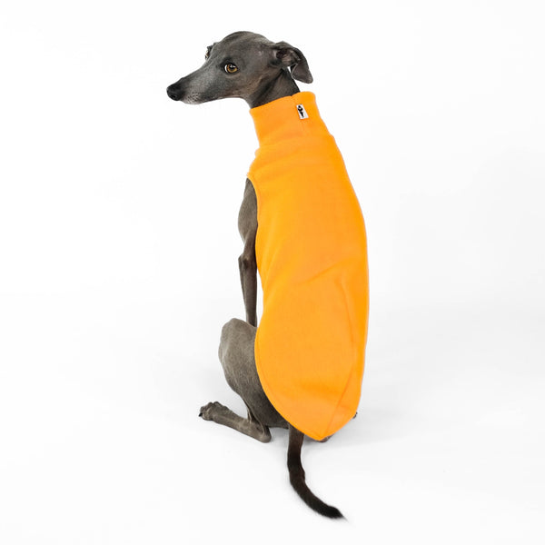 long shirt for italian greyhound