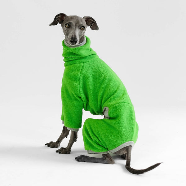 Italian Greyhound Overall Green