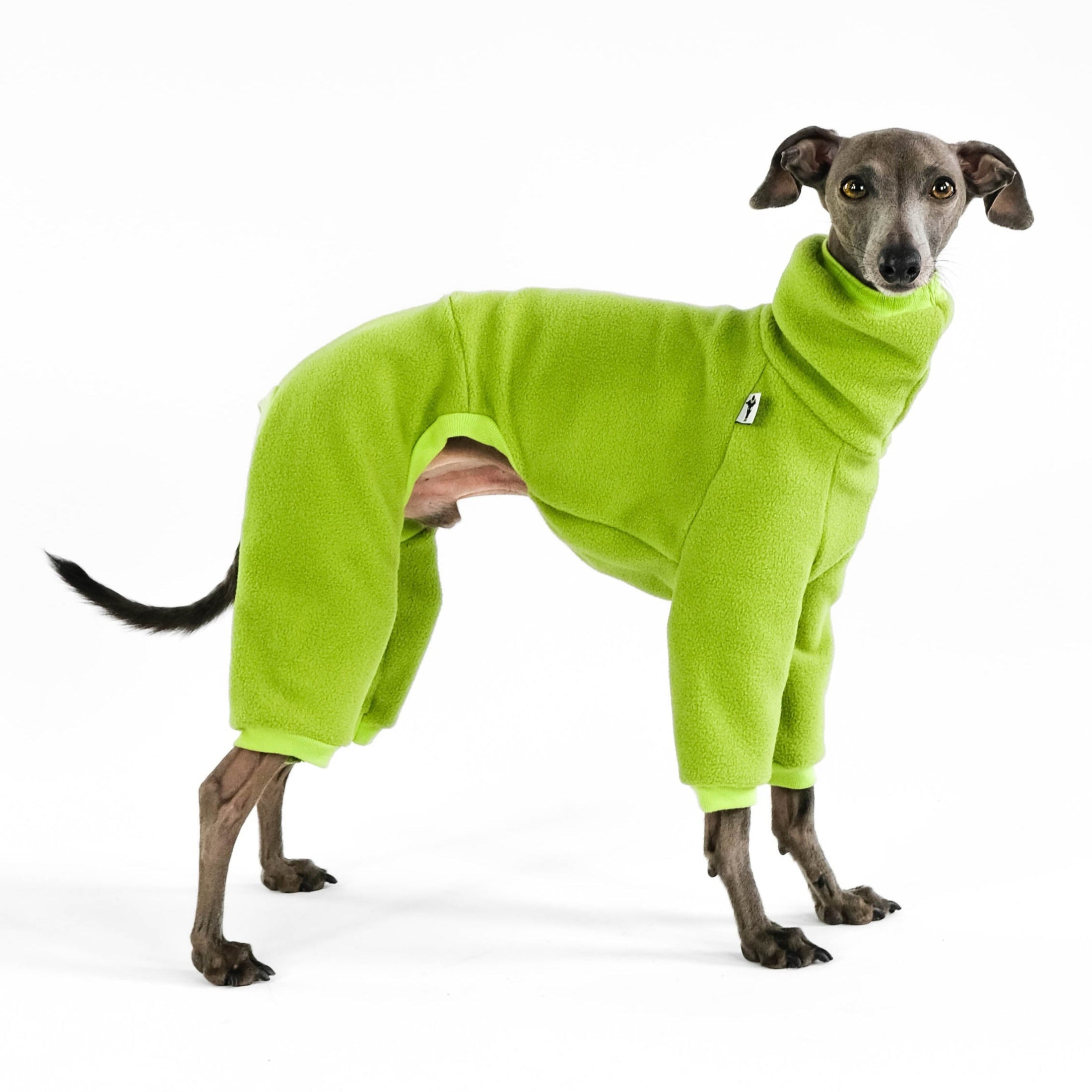 Windspiel Fleece Overall Light Green