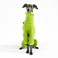 Load image into Gallery viewer, Italian Greyhound Fleece Jumpsuit Light Green
