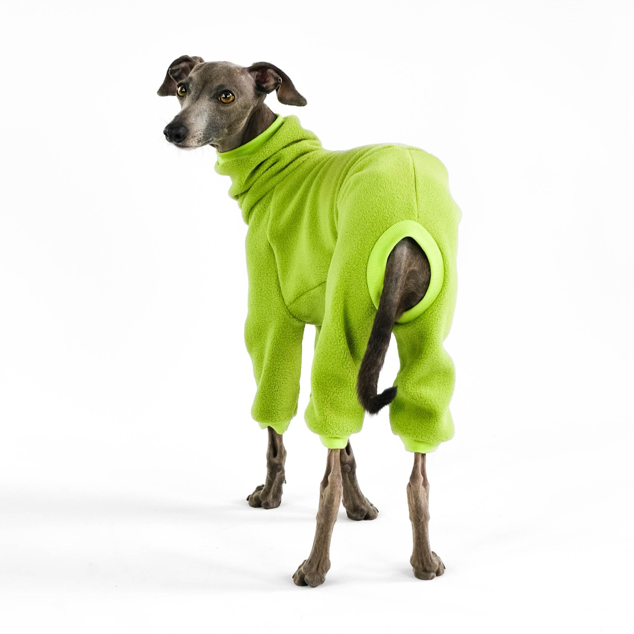 Windspiel Fleece Overall Light Green