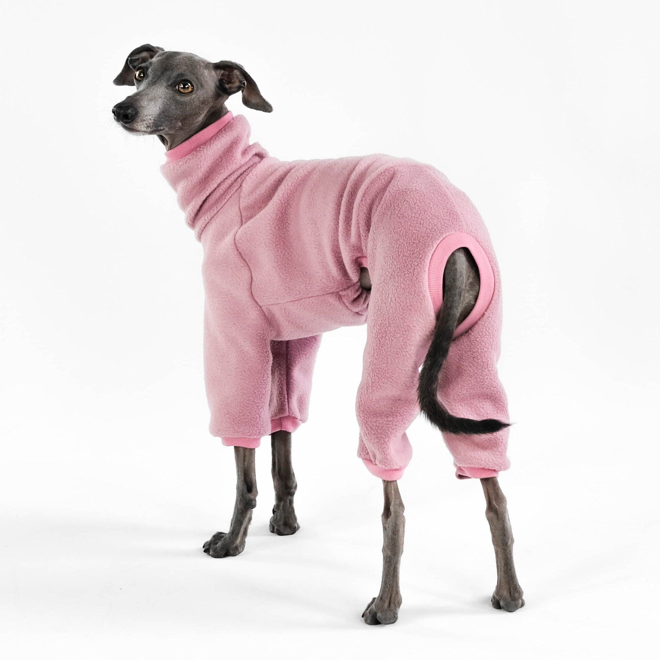 Italienisches Windspiel Mulberry Overall