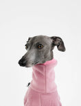 Load image into Gallery viewer, Italian Greyhound
