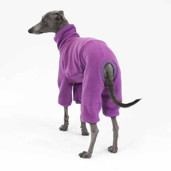 Italian Greyhound Clothing