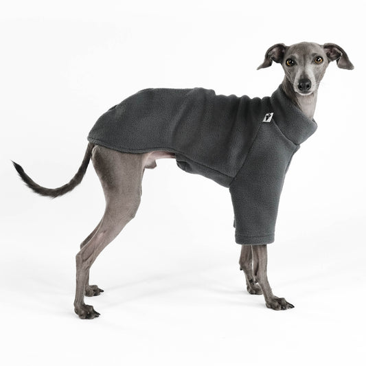 PULLOVER for Italian Greyhound in Graphite