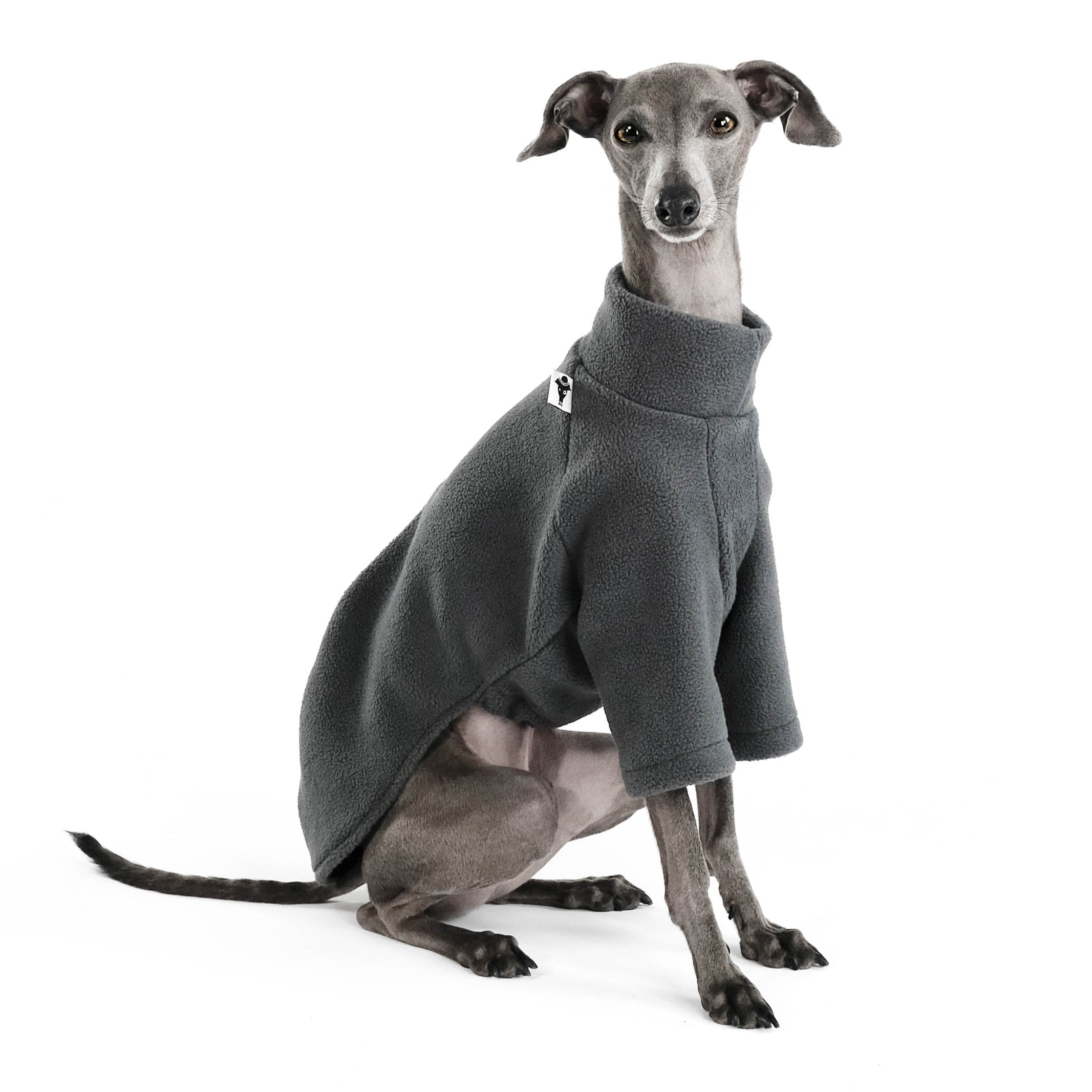 PULLOVER for Italian Greyhound in Graphite