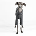 Load image into Gallery viewer, PULLOVER for Italian Greyhound in Graphite
