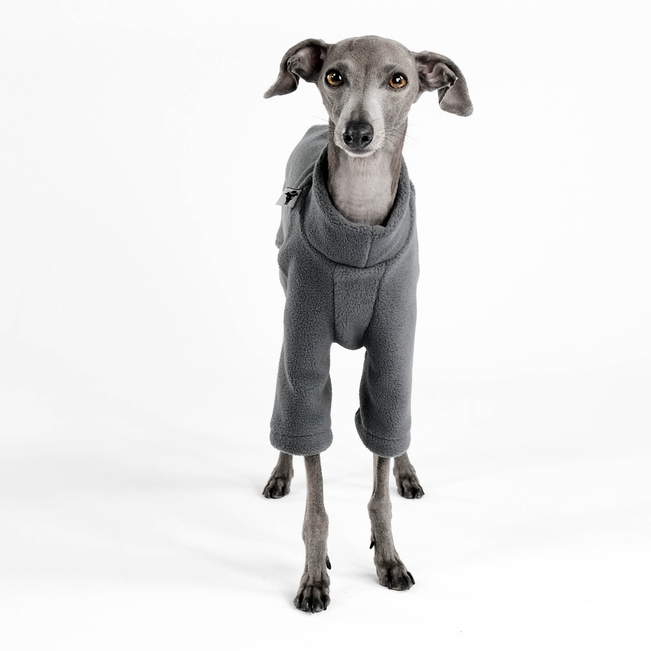 PULLOVER for Italian Greyhound in Graphite