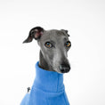 Load image into Gallery viewer, Italian Greyhound
