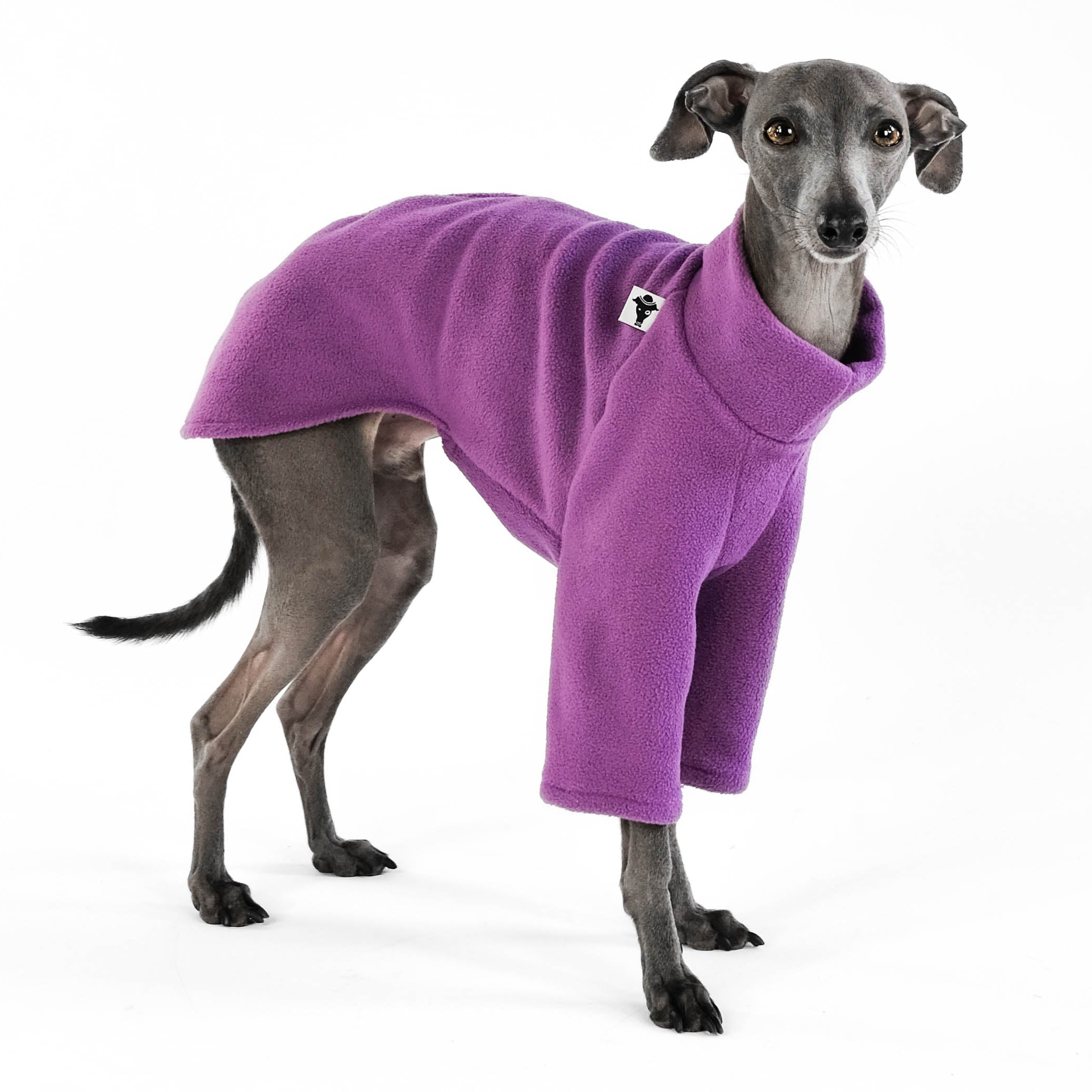 IG Fleece Pullover Violet