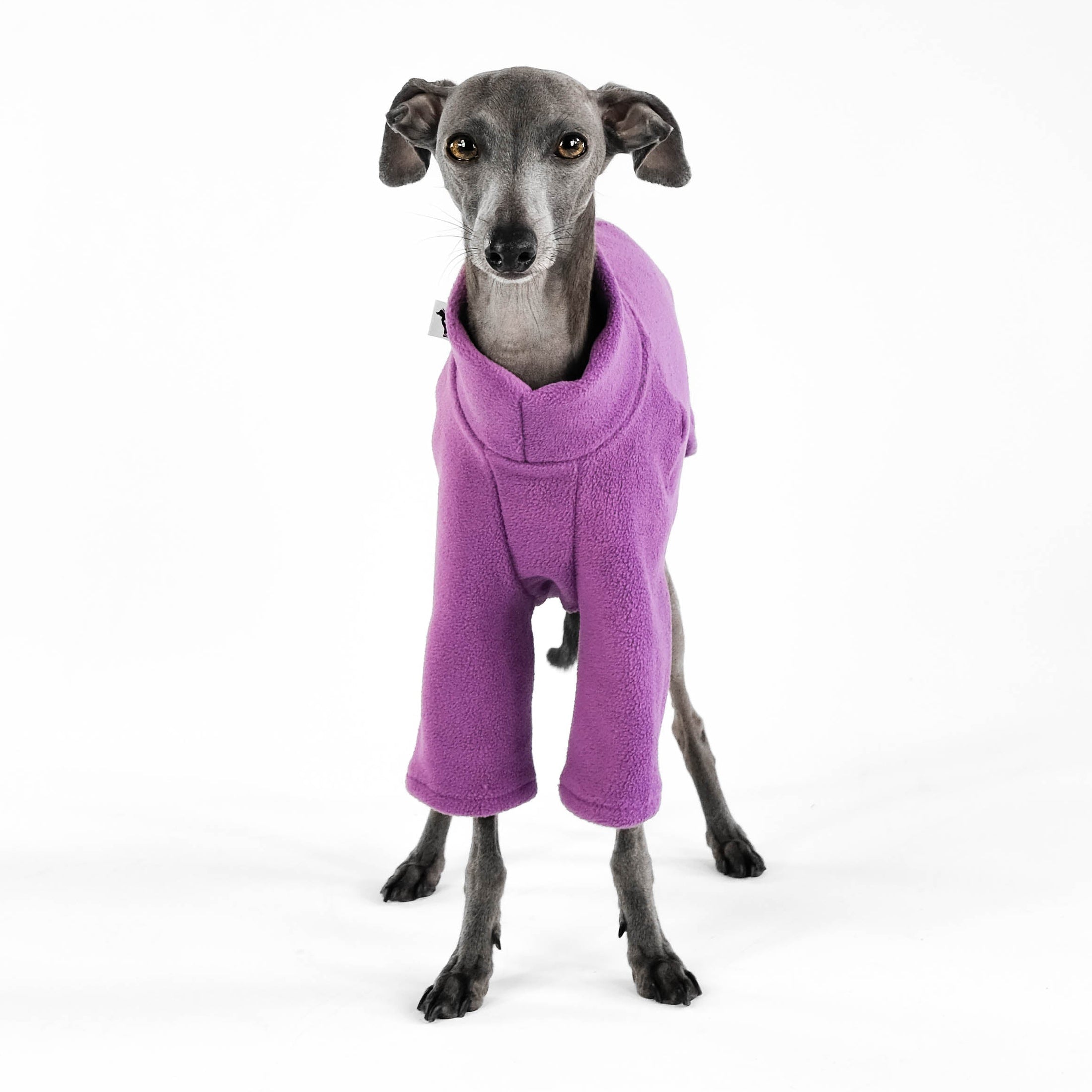 Windspiel Fleece Pullover Violet