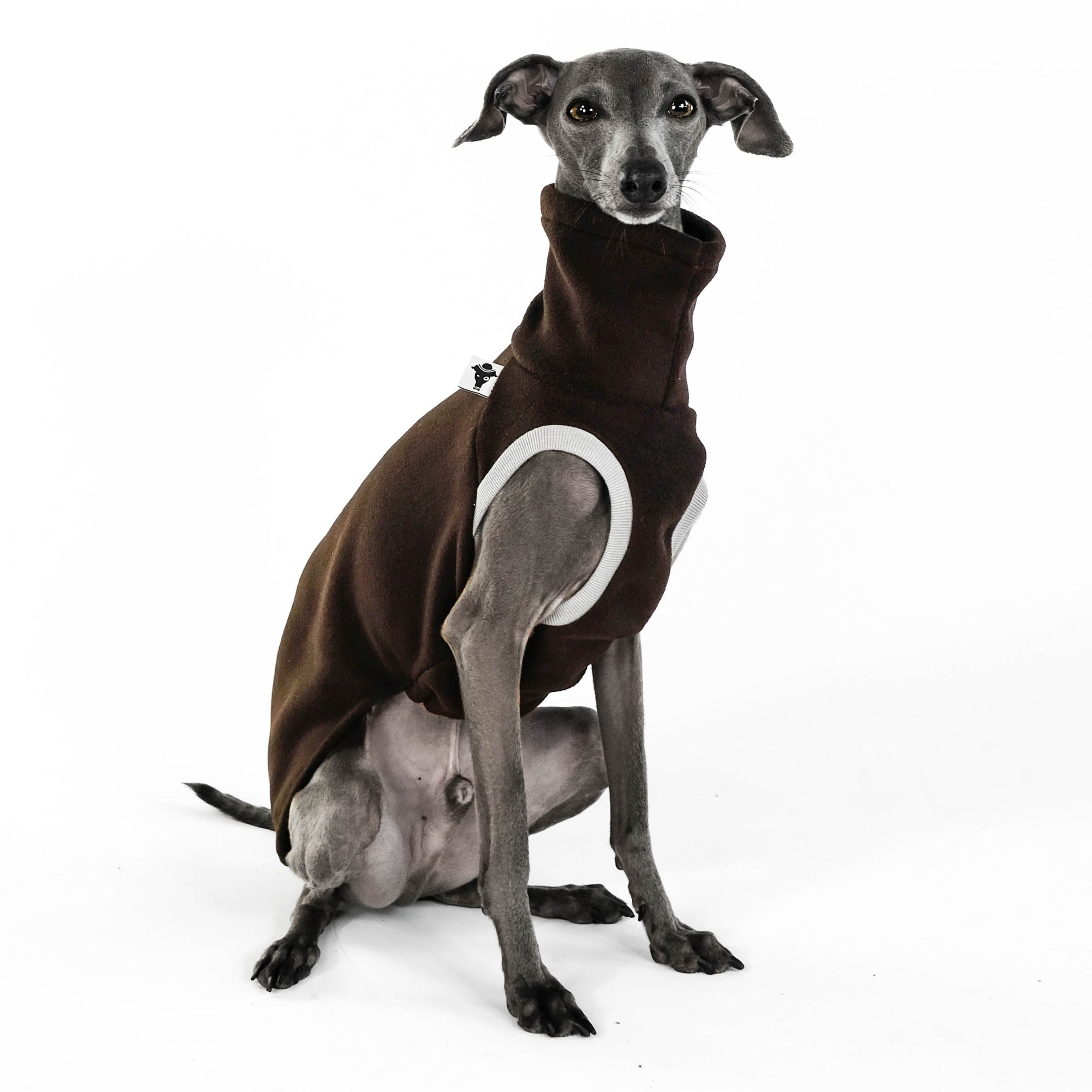 Windspiel Shirt Fleece Brown