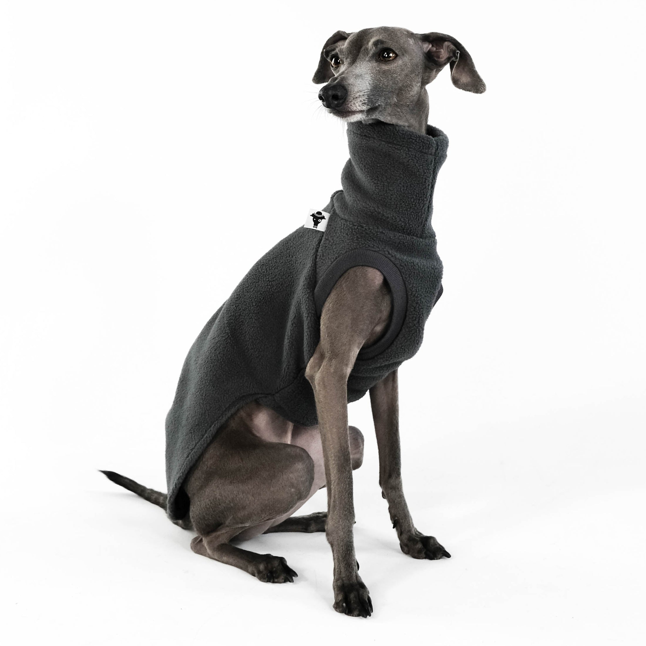 IG Longshirt Fleece Graphit