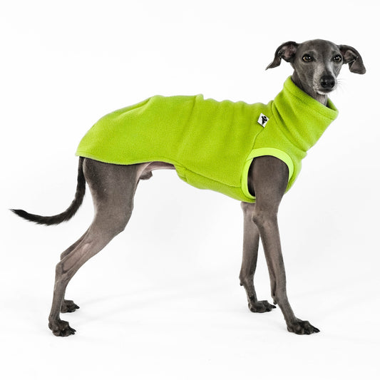 IG Long Shirt Fleece Light Green