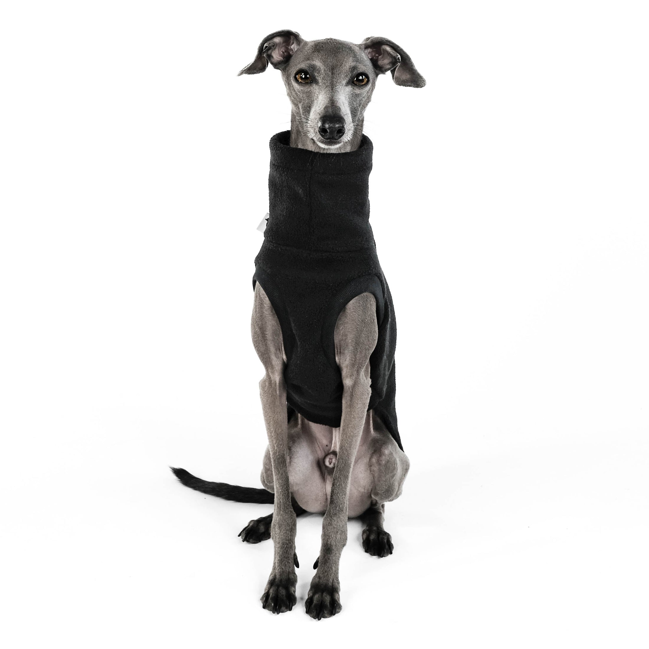 Windspiel Long Shirt Fleece Schwarz