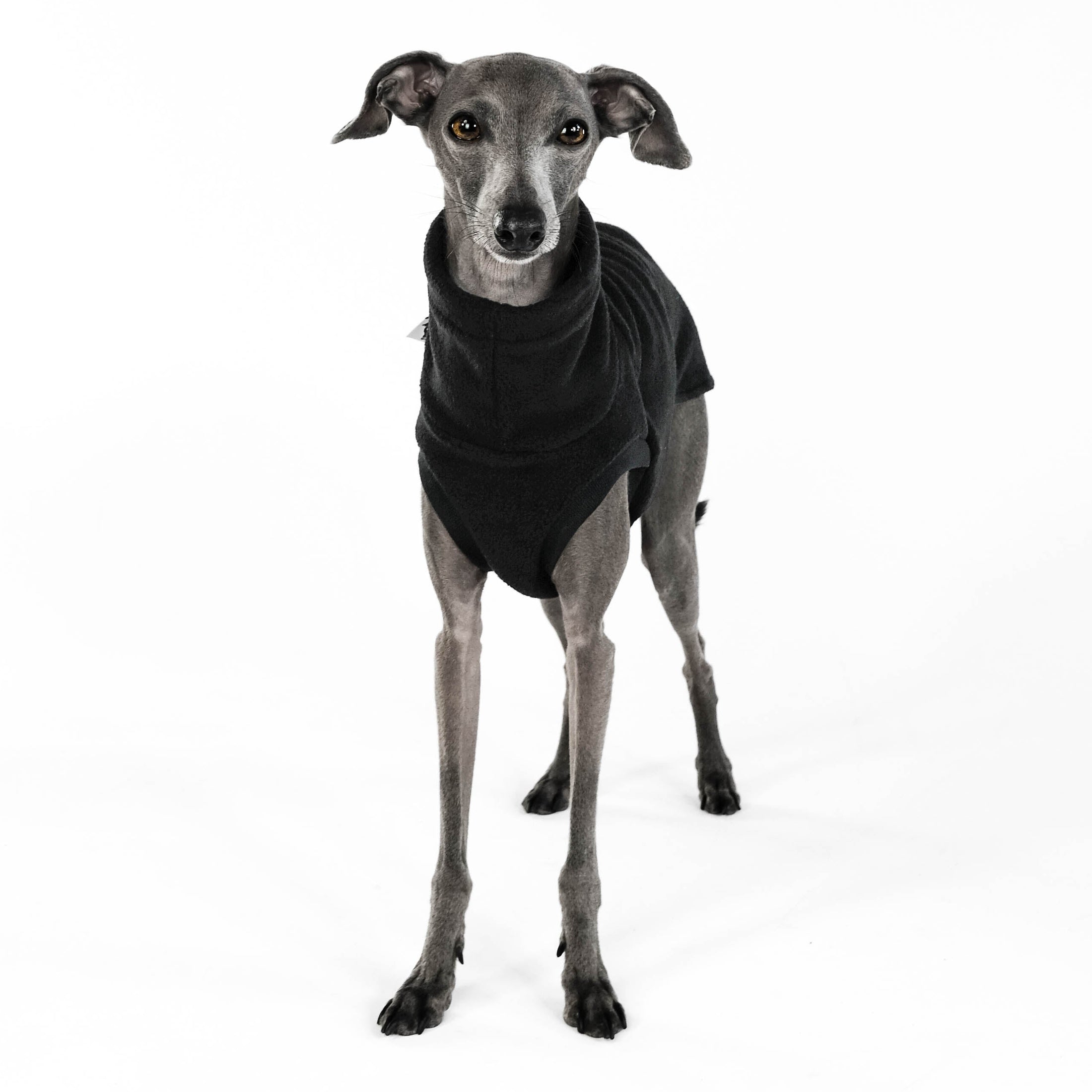 Windspiel Fleece Shirt Schwarz