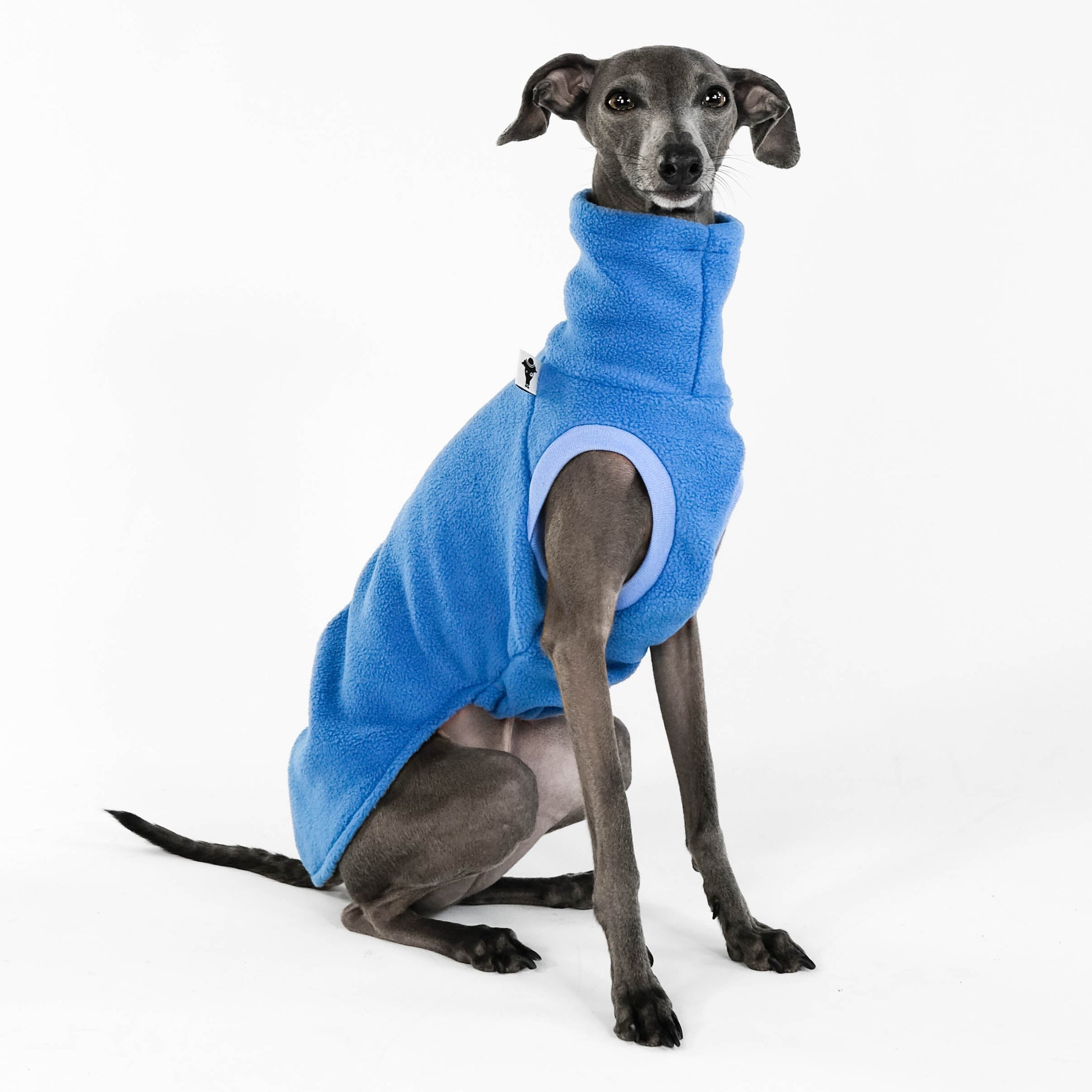 Windspiel Shirt Sky Blue