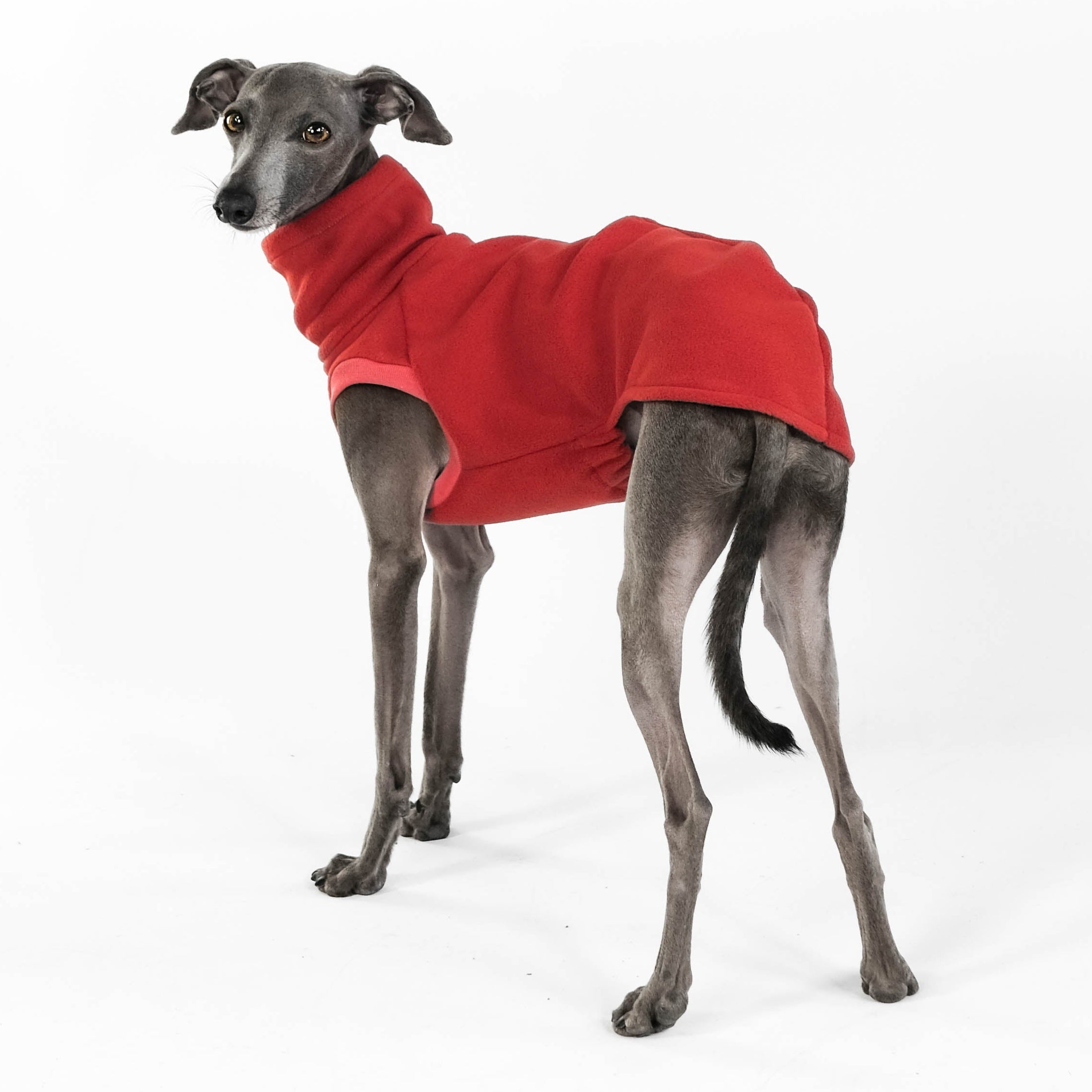 Windspiel Long Shirt Terracotta