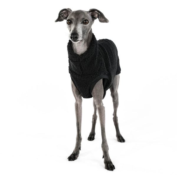 Windspiel Shirt Teddy Schwarz