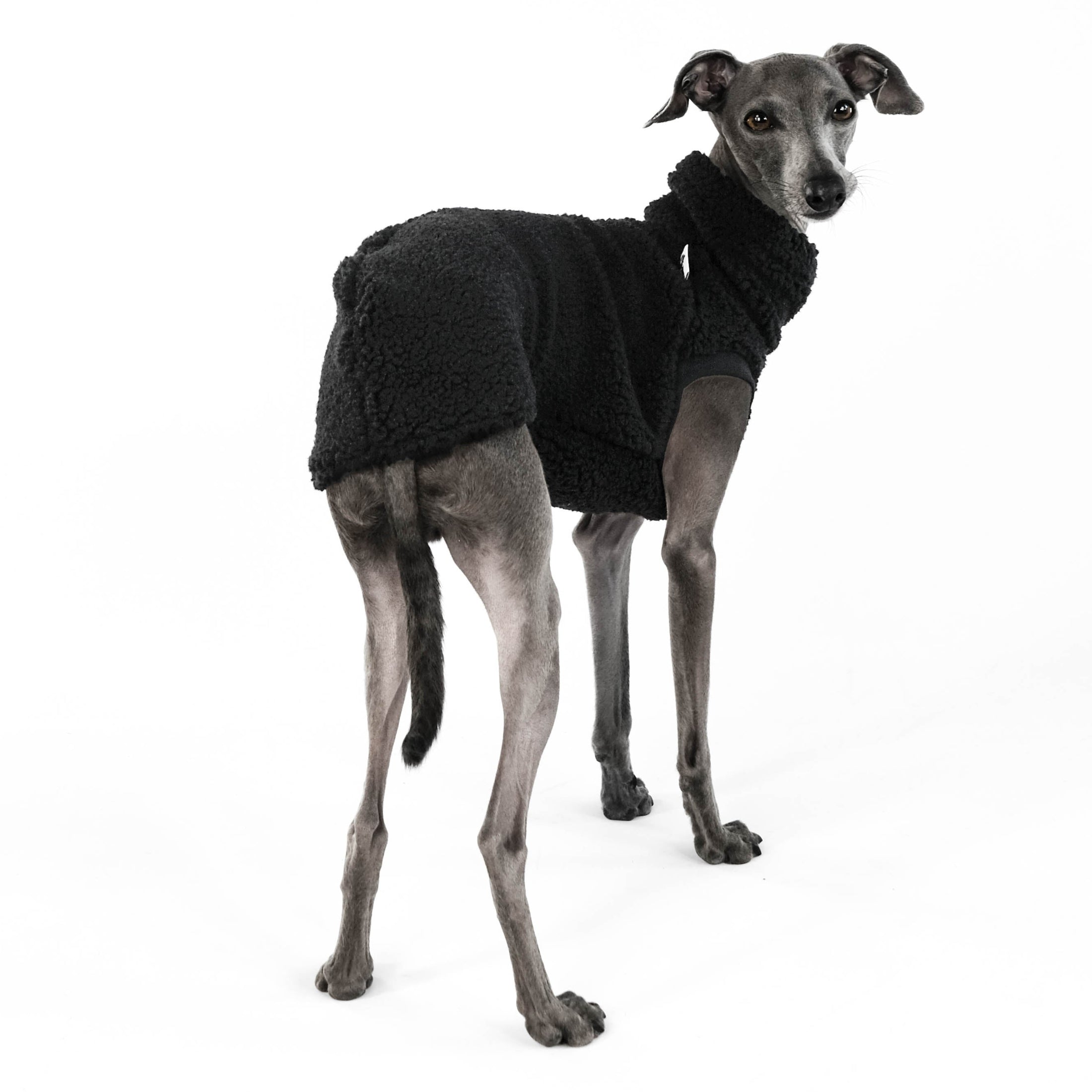 IG Longshirt Teddy Schwarz