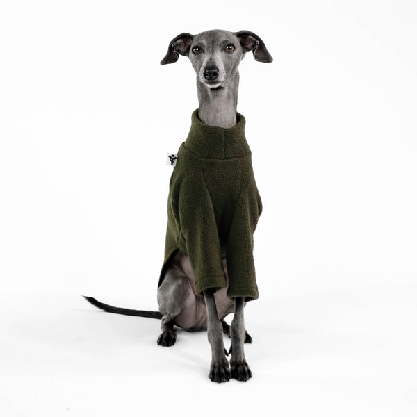 Italian Greyhound Pullover Dark Olive